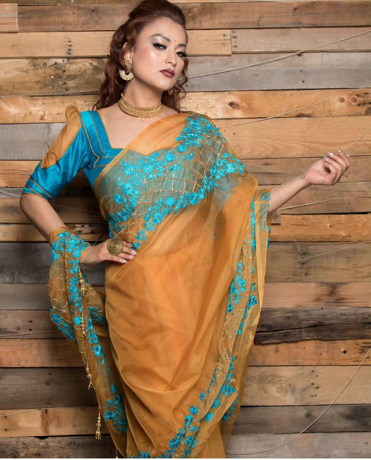 Choose the Perfect Saree for Every Occasion